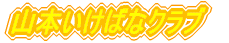 ؃m{{eBAʉO[v